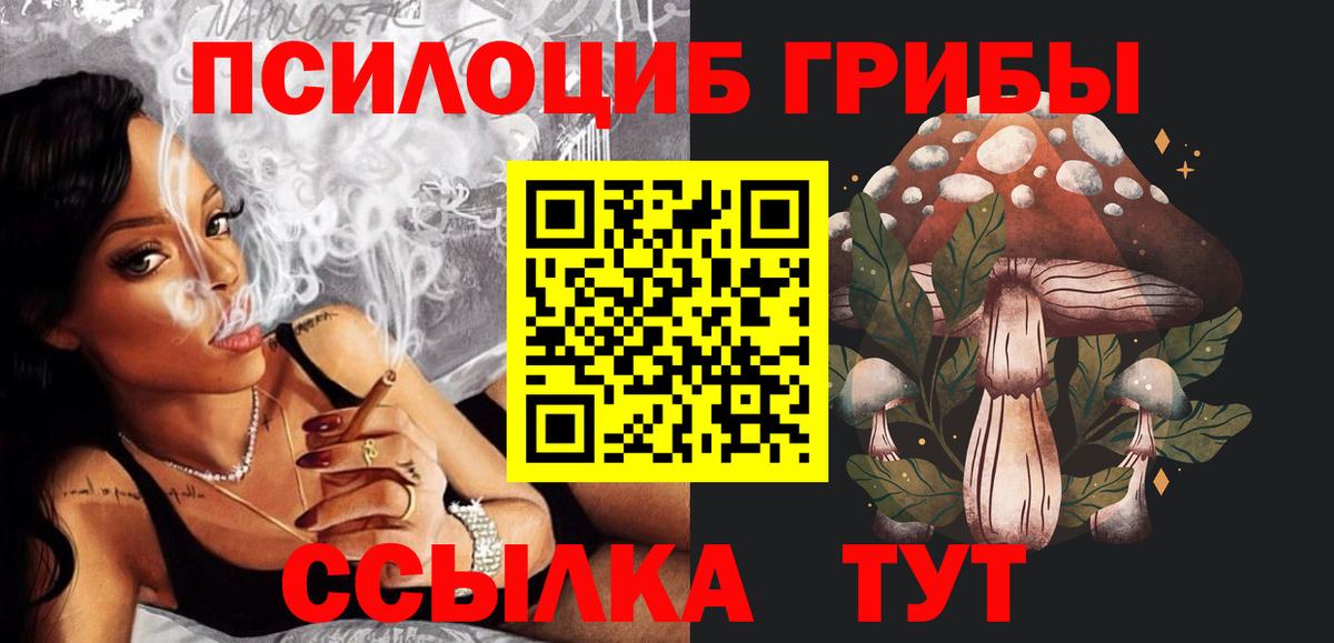 Галлюциногенные грибы Cubensis Фурманов