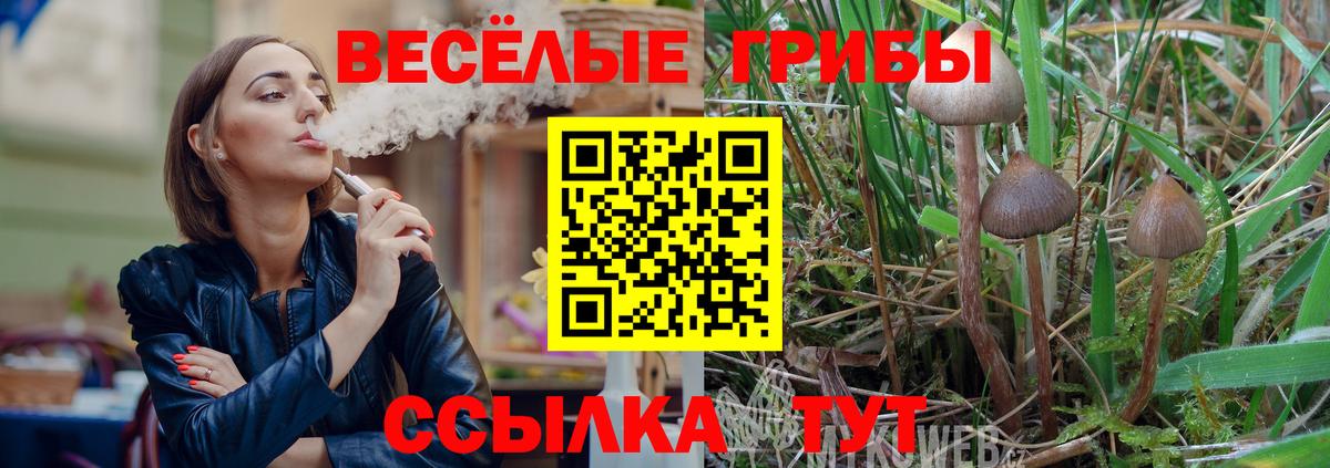 Фурманов  Галлюциногенные грибы Psilocybine cubensis  Галлюциногенные грибы Cubensis  Вход с VPN 